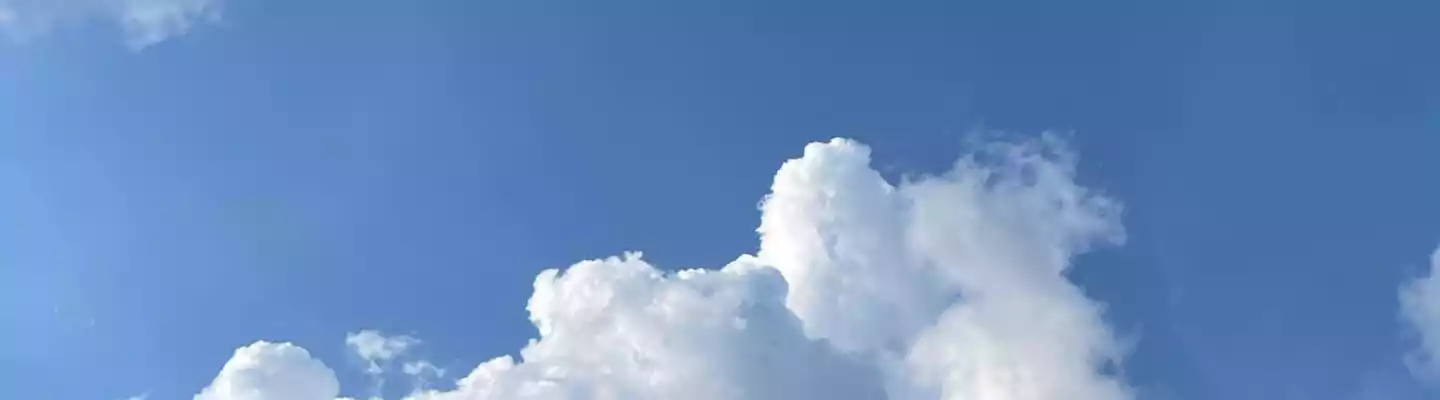 Mary Locke - Health & Wellness, Holistic Health  Profile Banner