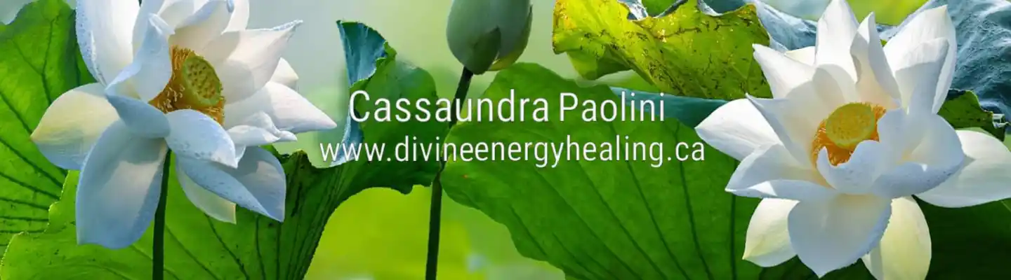 Cassaundra Paolini - Health & Wellness, Meditation, Spirituality, Spiritual Development, Energy Healing, Qigong, Yoga, Personal Development & Coaching, Trauma  Profile Banner