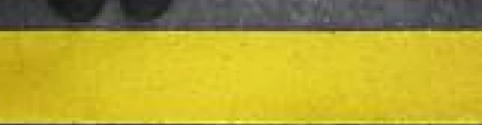 Healthy Boundaries Certification