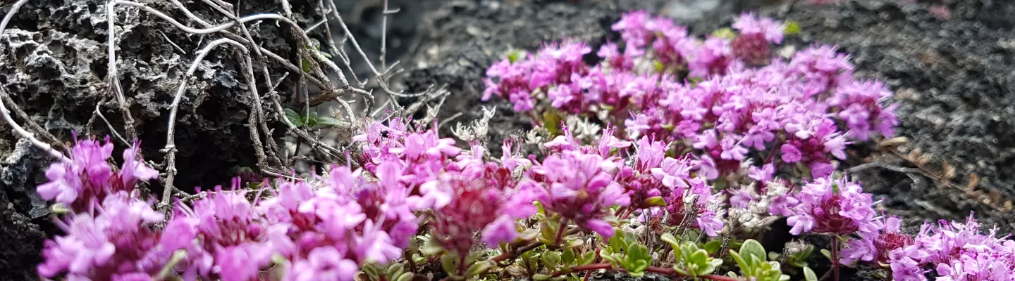 Megan Edge - Spirituality, Healing, Intuitive Development, Career Development, Conscious Leadership, Entrepreneurship, Finance  Profile Banner