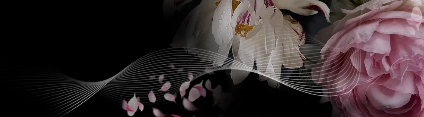 Laura Ballerini - Health & Wellness, Life Alignment, Other, Arts, Creativity, Graphic Design, Intuitive Art  Profile Banner