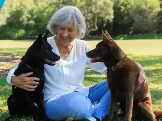 Robin Oliver Dog Training Academy,
                            Spirituality, Health & Wellness
                            Expert at Pakej Kursus Latihan Anjing: ASAS ASAS